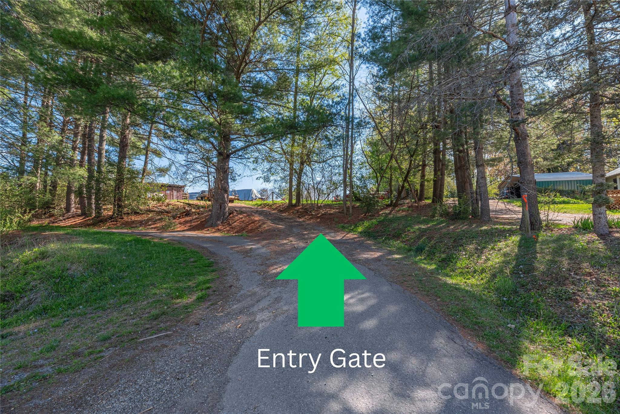 284 Woodland Church Road Clyde, NC 28721 - Photo 5 of 25 a view of a park with trees