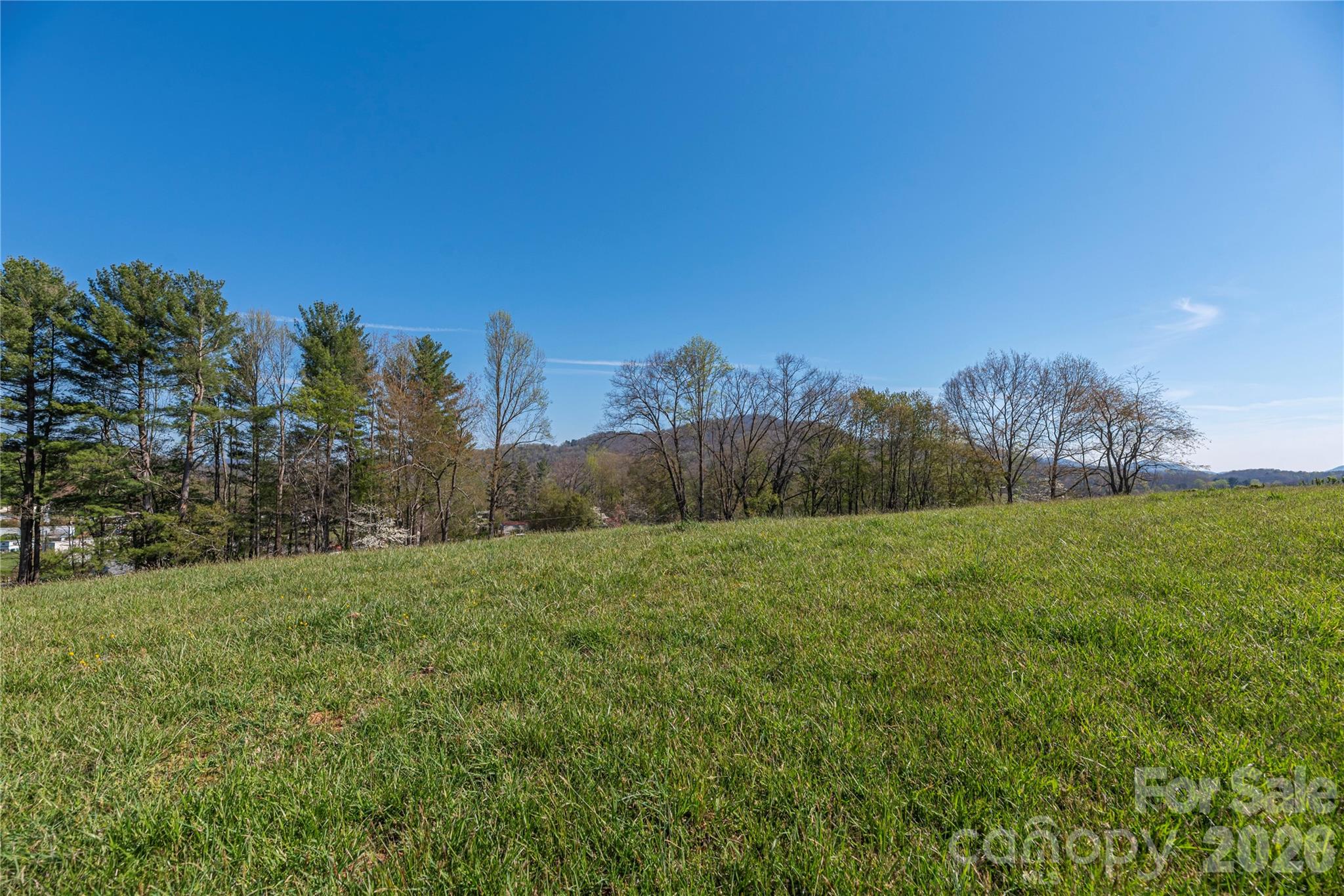 284 Woodland Church Road Clyde, NC 28721 - Photo 8 of 25 a view of a field of grass and trees