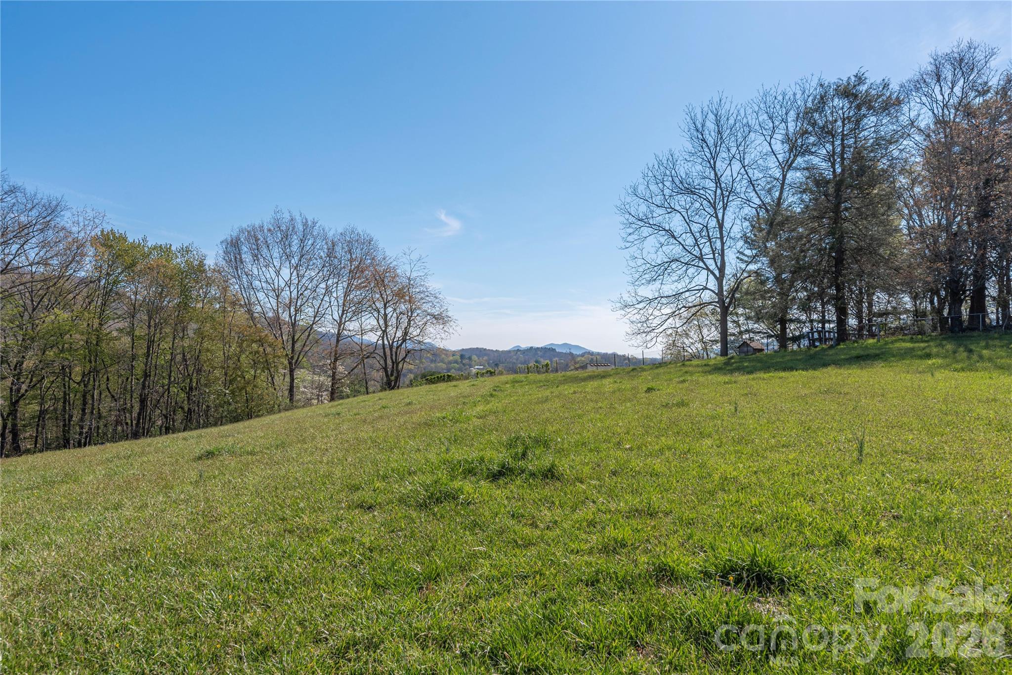 284 Woodland Church Road Clyde, NC 28721 - Photo 10 of 25 a view of a field with trees in the background