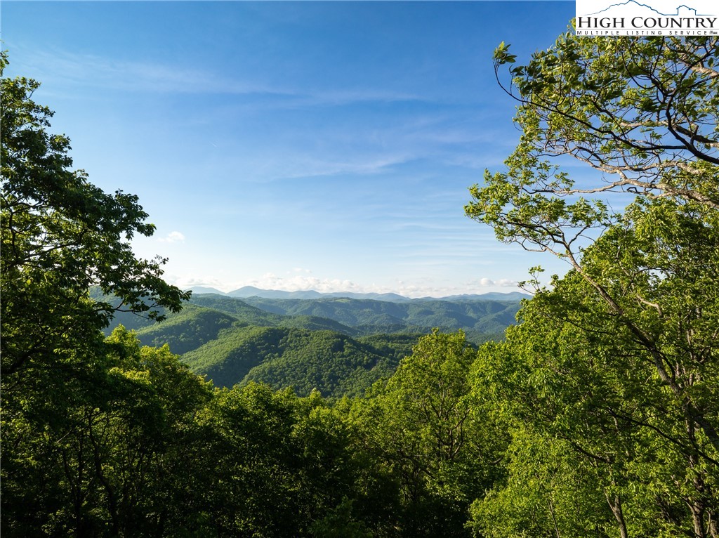 11 Alder Lane Boone, NC 28607 - Photo 1 of 50 a view of a flower in a garden
