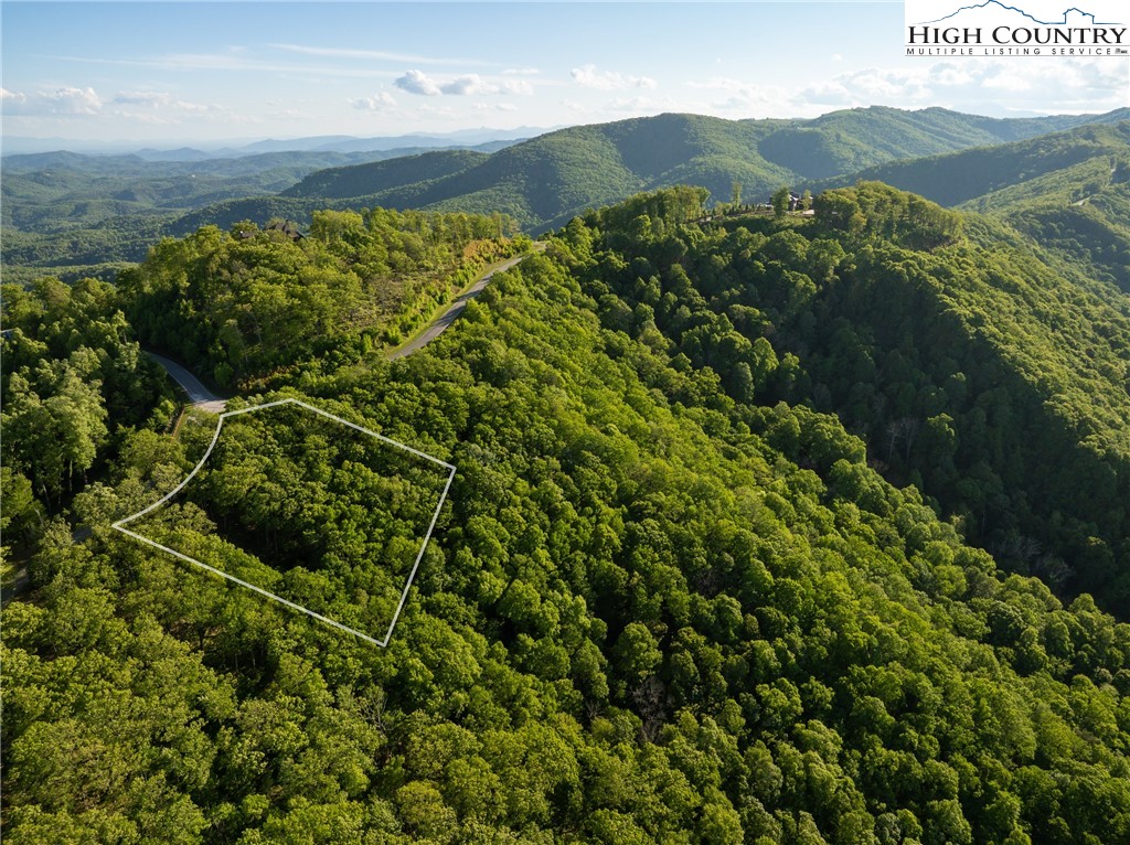 11 Alder Lane Boone, NC 28607 - Photo 5 of 50 a view of a lush green forest with a mountain