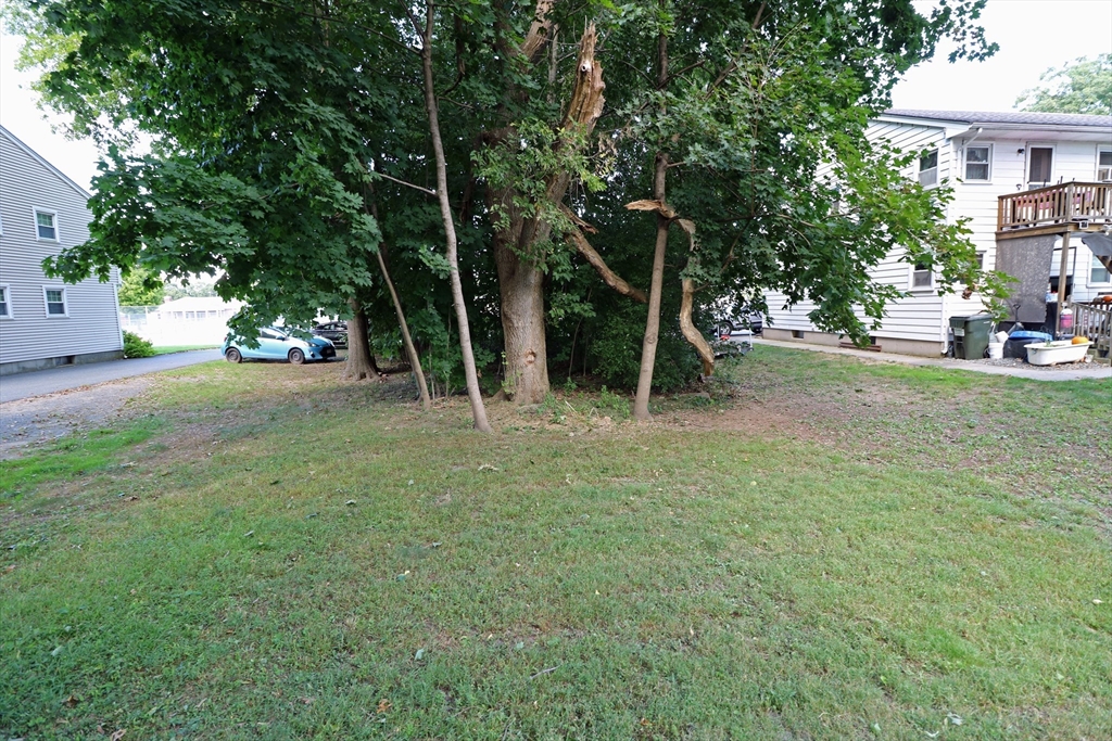 184 Howard Street Ludlow, MA 01056 - Photo 1 of 18 a view of a tree in front of a house