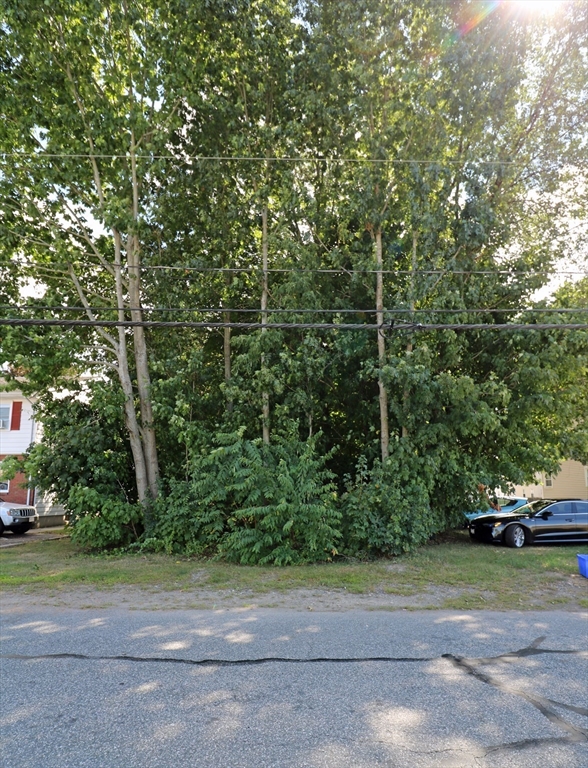 184 Howard Street Ludlow, MA 01056 - Photo 11 of 18 a view of a yard with a car parked