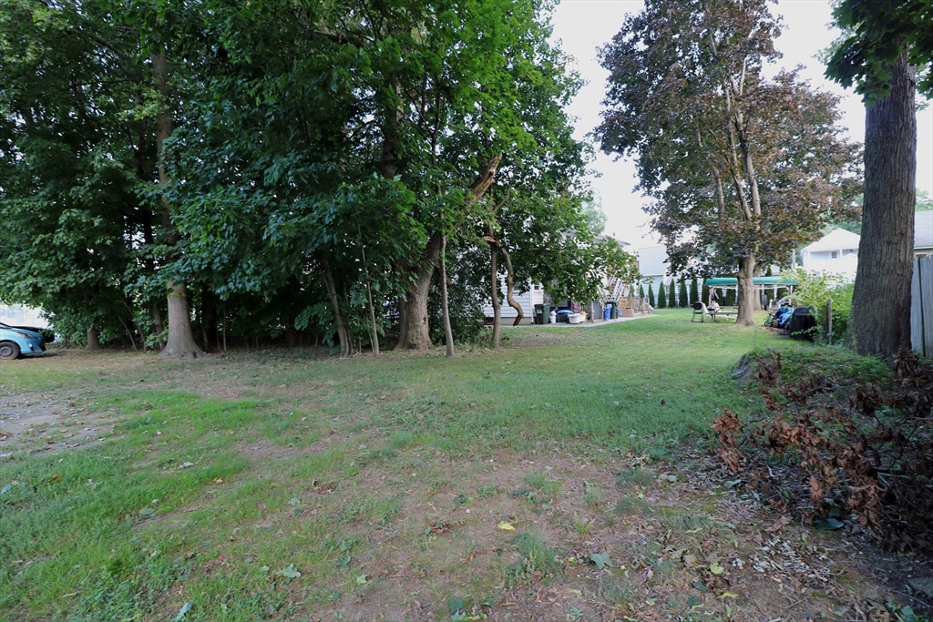 184 Howard Street Ludlow, MA 01056 - Photo 3 of 18 a view of a tree in a yard