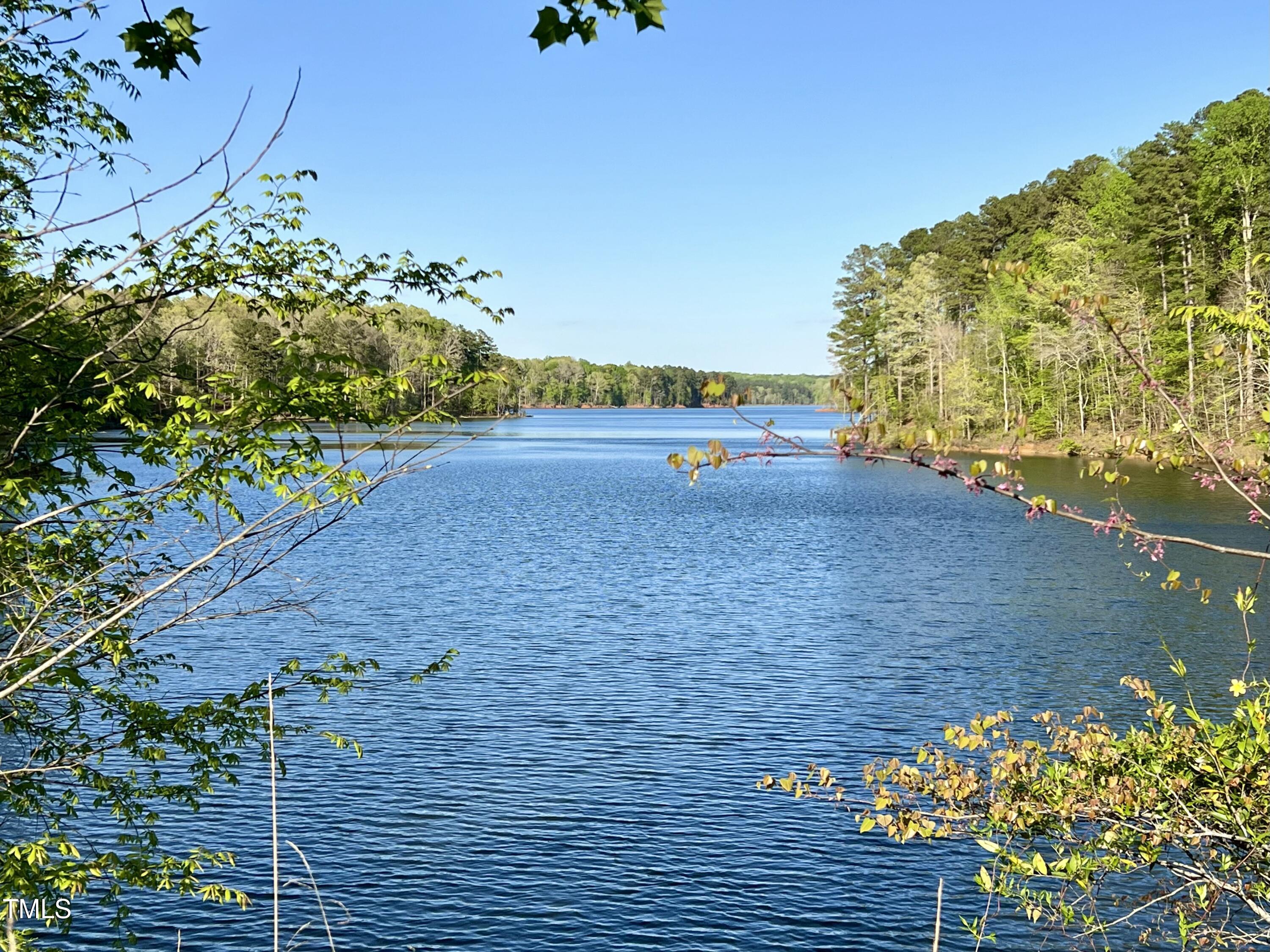 1425 Bascomb Drive Raleigh, NC 27614 - Photo 48 of 51 a view of a yard