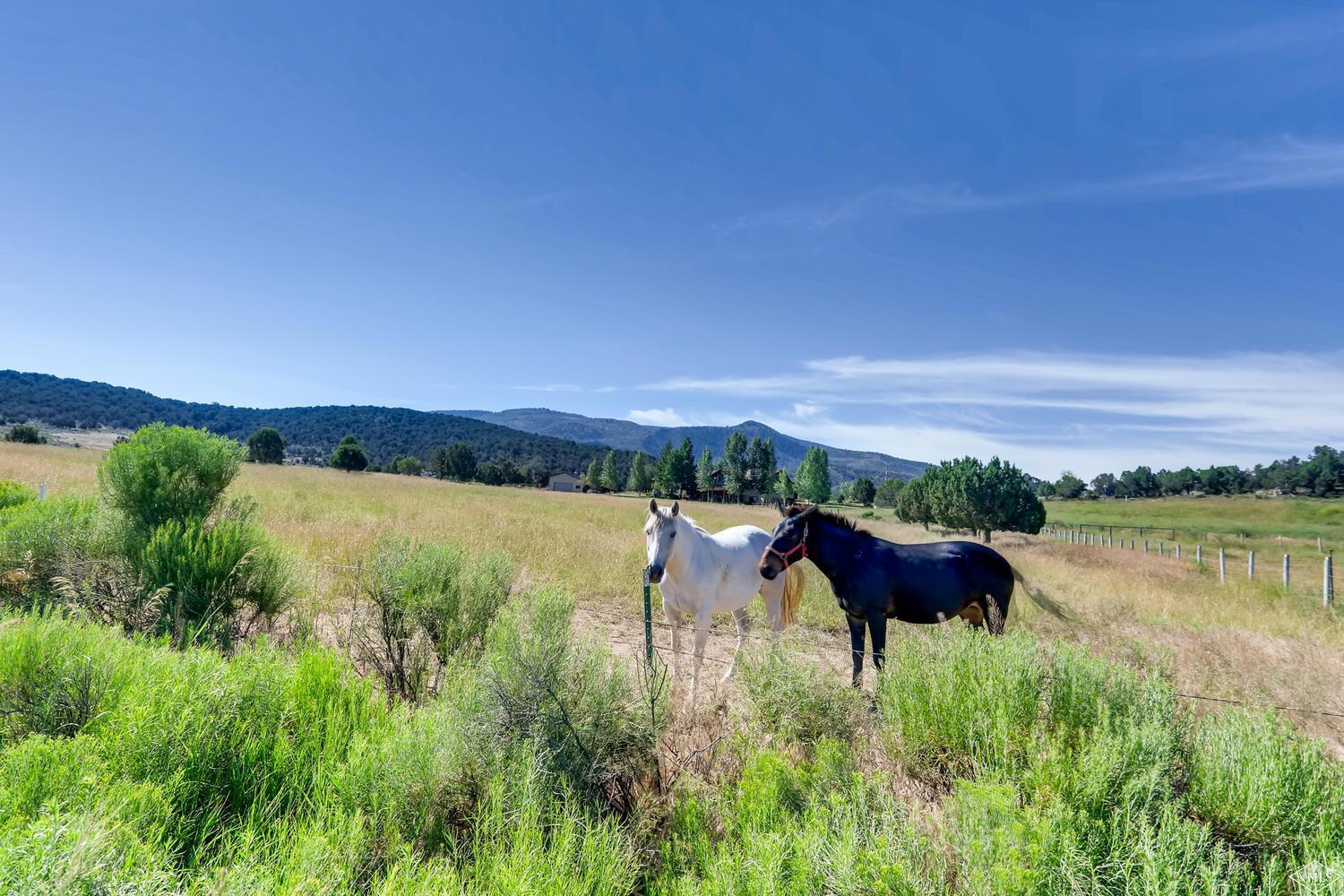 1800 Spring Creek Road Gypsum, CO 81637 - Photo 10 of 28 Additional Photo