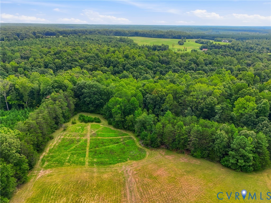 10672 Cross County Road Mineral, VA 23117 - Photo 26 of 33 Expansive acreage featuring mature trees and open