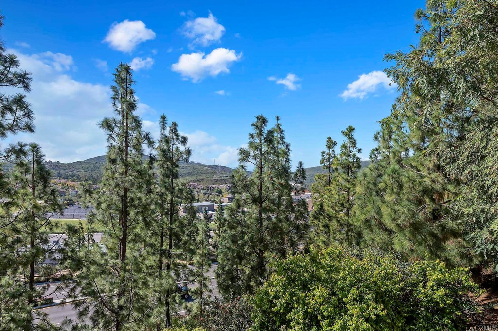 1295 Highbluff Avenue San Marcos, CA 92078 - Photo 5 of 38 a view of a city