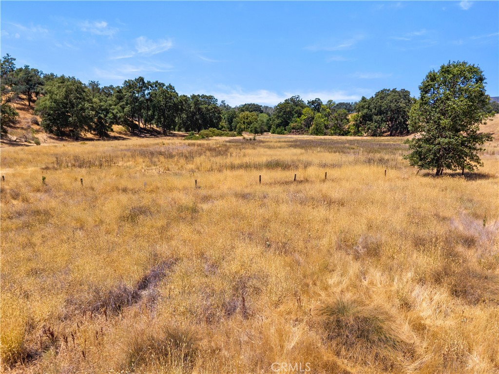 2225 Ladder Ridge Road Upper Lake, CA 95485 - Photo 45 of 58 a view of a yard with a tree