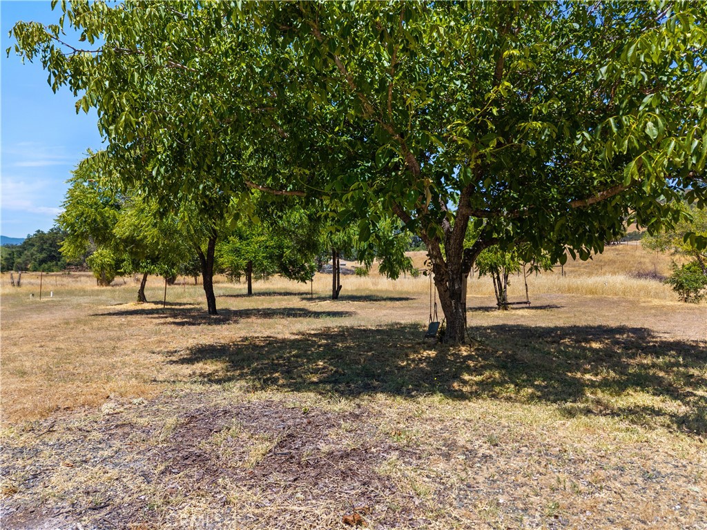 2225 Ladder Ridge Road Upper Lake, CA 95485 - Photo 46 of 58 a view of a tree in the middle of a yard