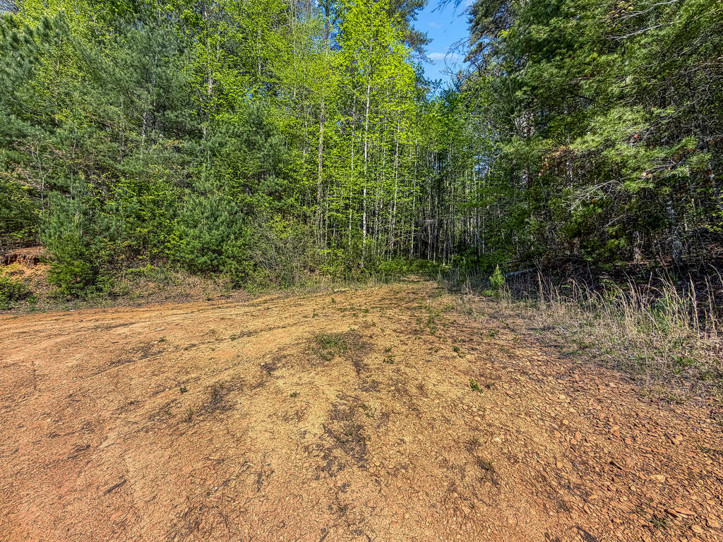40-ac #1 40-ac Road Mineral Bluff, GA 30559 - Photo 28 of 35 Gallery Image 28