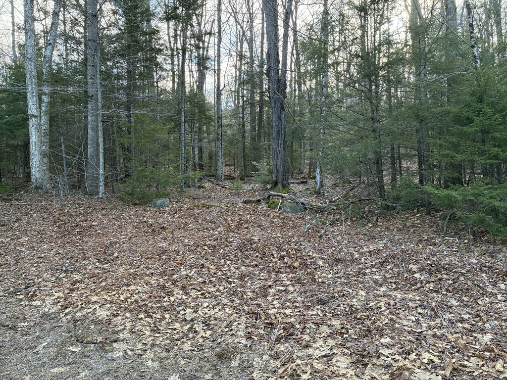 5 Leshures Road Rowe, MA 01367 - Photo 1 of 12