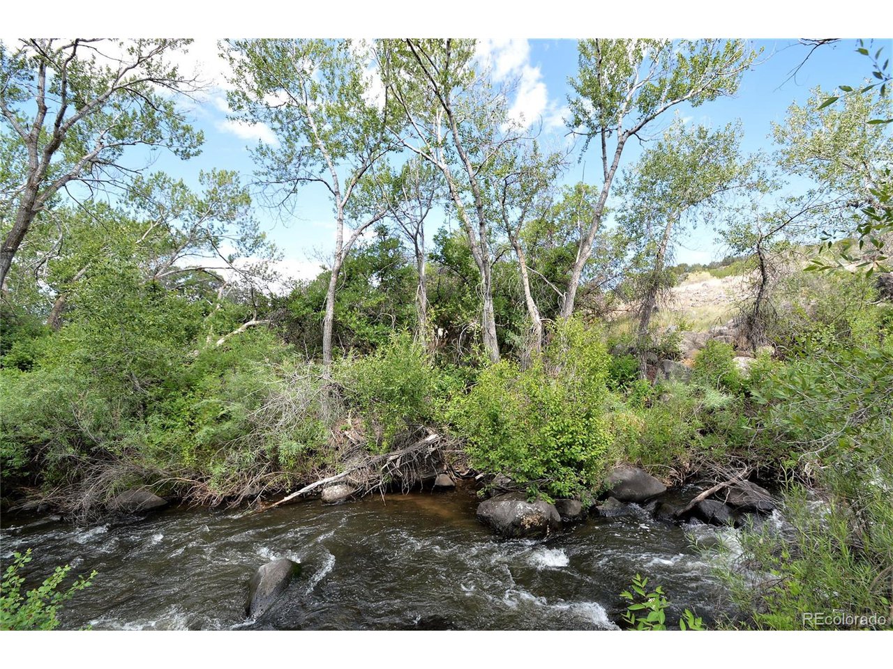a view of outdoor space and tree