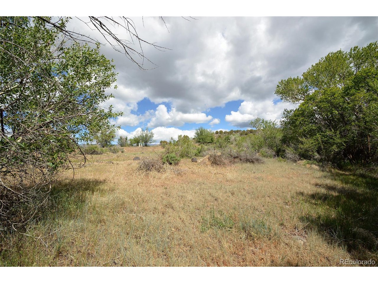 3 Willow Lane Cedaredge, CO 81413 - Photo 4 of 10 a view of a city