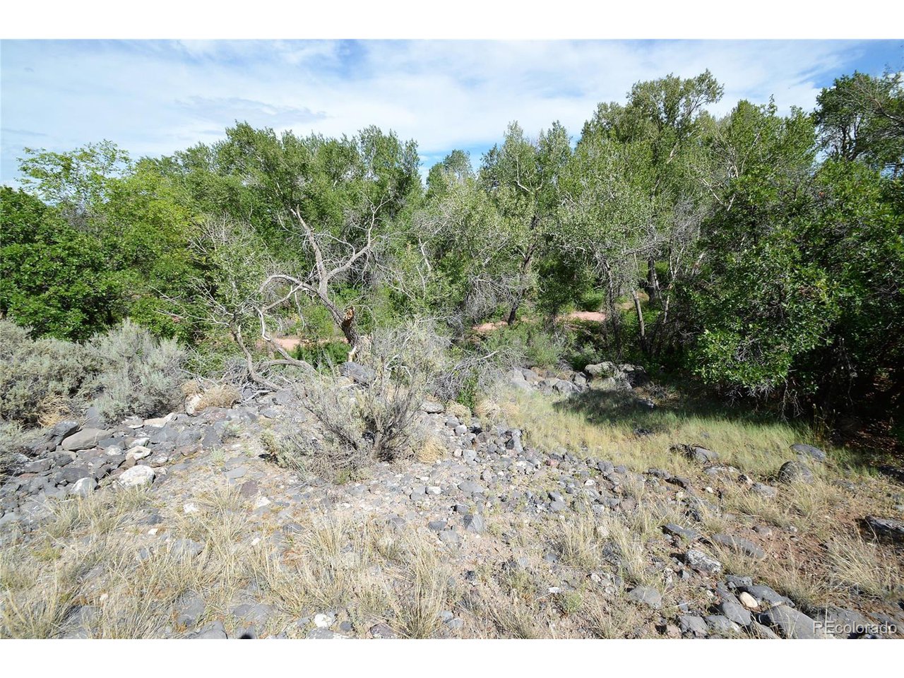 3 Willow Lane Cedaredge, CO 81413 - Photo 5 of 10 a view of a yard with a tree