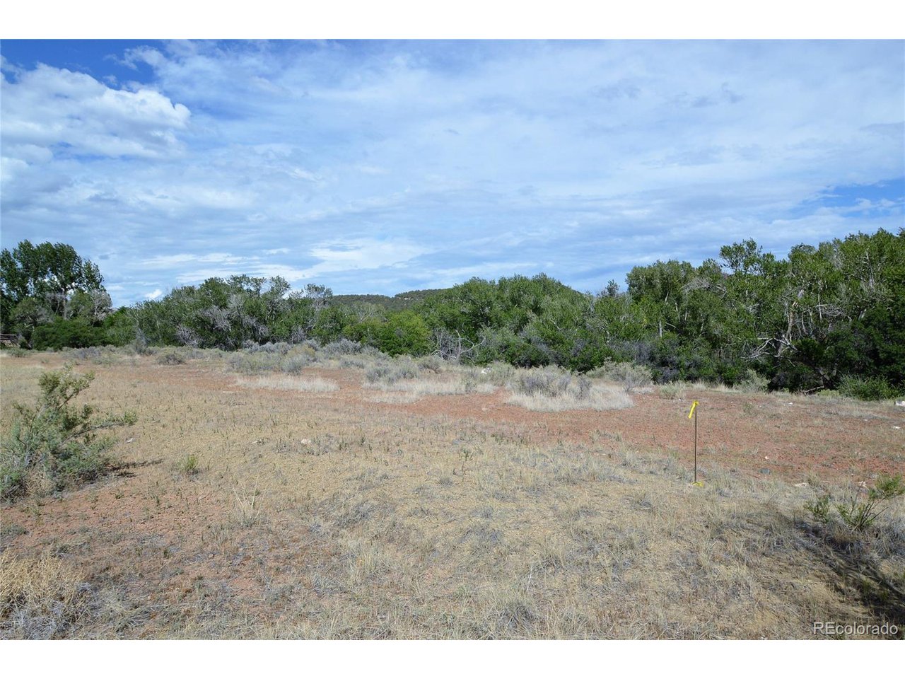 3 Willow Lane Cedaredge, CO 81413 - Photo 7 of 10 a view of a open area with green space