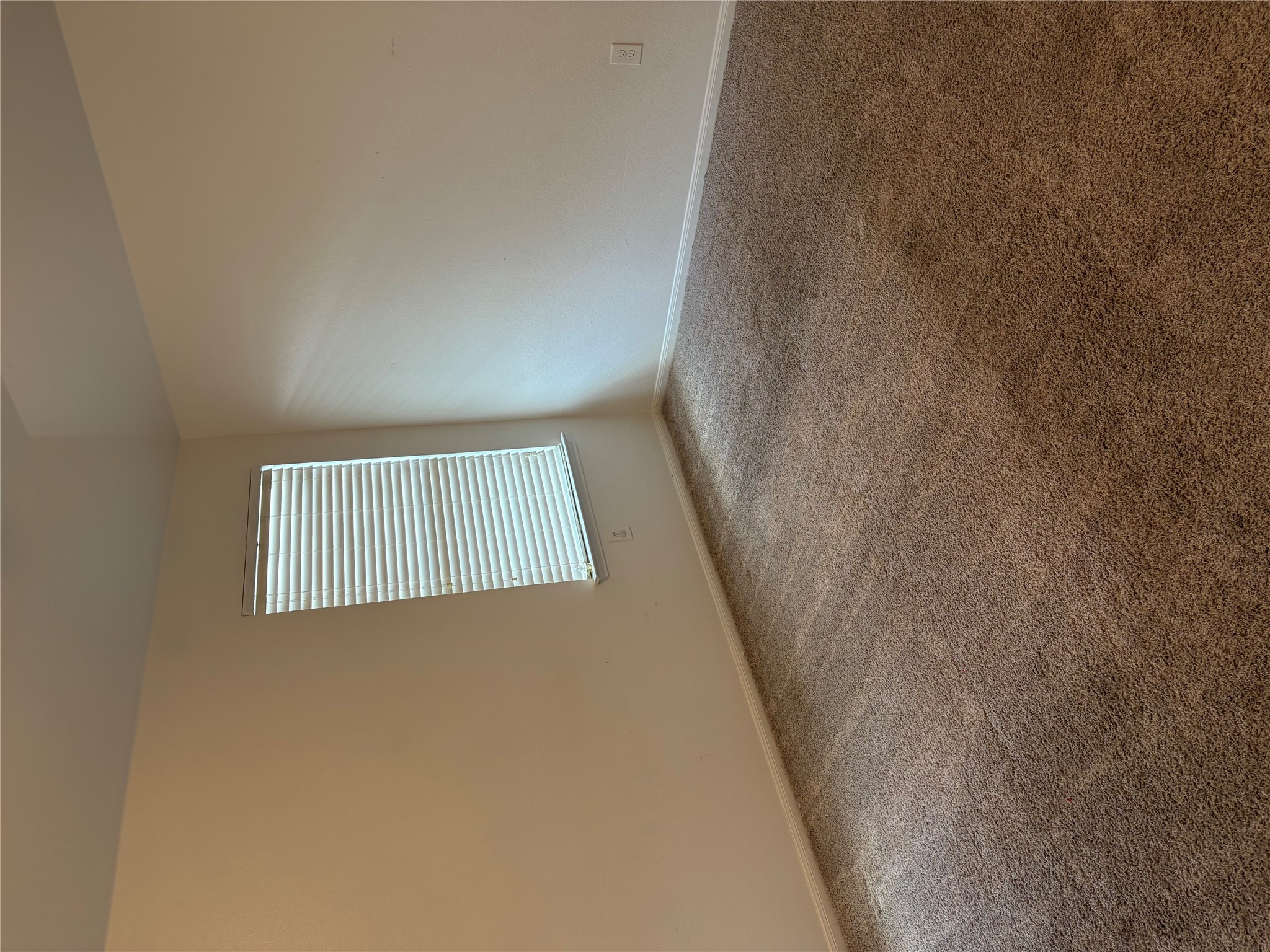 137 Rafe Court Kyle, TX 78640 - Photo 16 of 36 A well-lit bedroom space features soft carpeting and a window with Venetian blinds.