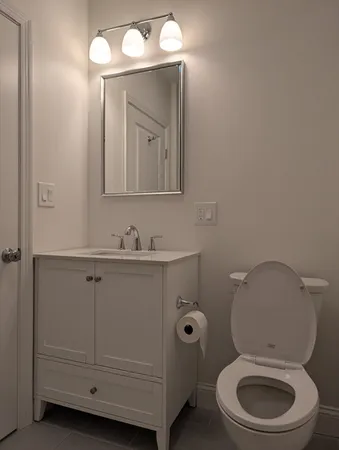 a bathroom with a toilet a sink and mirror