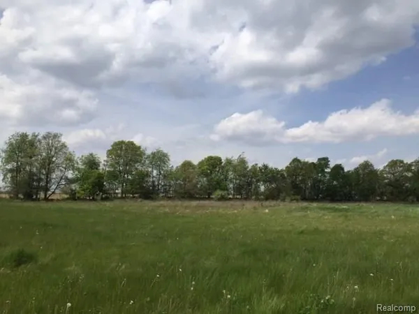$40,000 | 0 Adelines (lot 20) Way, Fowlerville, MI 48836