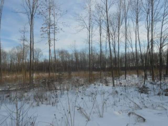 N722 Westlin Road Ogema, WI 54459 - Photo 13 of 13 Gallery Image 13