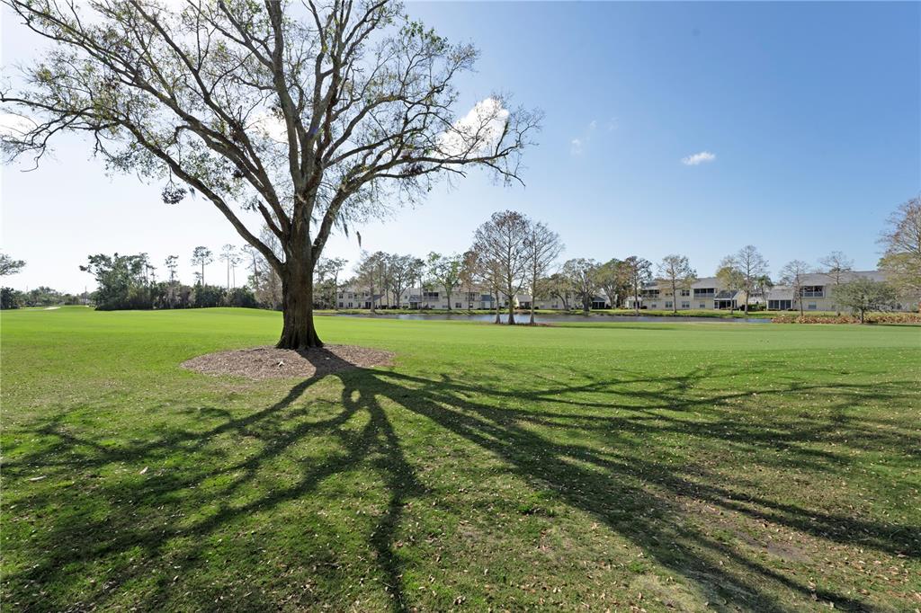 6501 Stone River Road, Unit 205 Bradenton, FL 34203 - Photo 25 of 50 a view of a field with tree s
