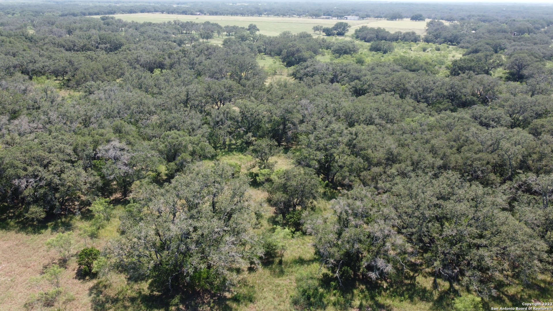 0 County Road 311 D'Hanis, TX 78850 - Photo 5 of 10 an aerial view of forest