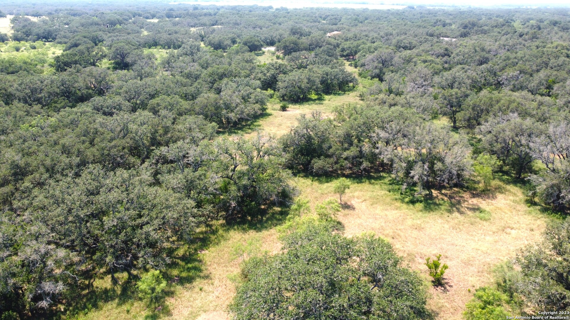 0 County Road 311 D'Hanis, TX 78850 - Photo 6 of 10 a view of a yard with a tree