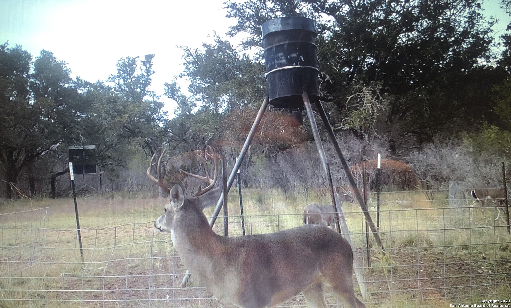 0 County Road 311 D'Hanis, TX 78850 - Photo 8 of 10 a backyard of a house with table and chairs