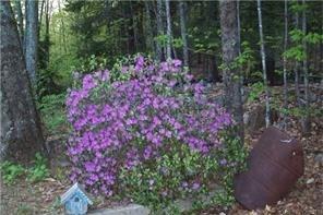108 Mason Road Porter, ME 04068 - Photo 31 of 33 Photo