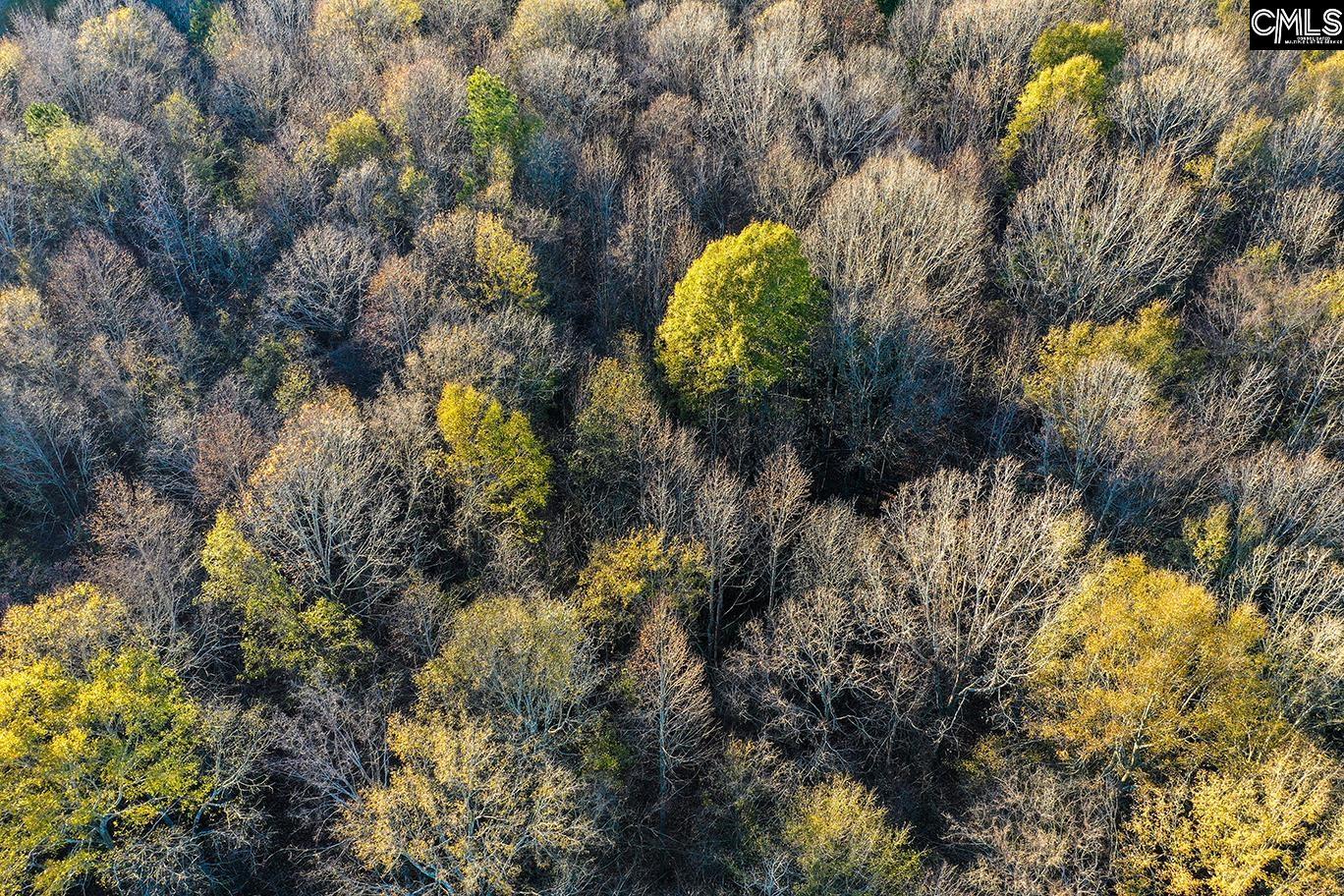 0 Rocky Creek Road Newberry, SC 29108 - Photo 5 of 25