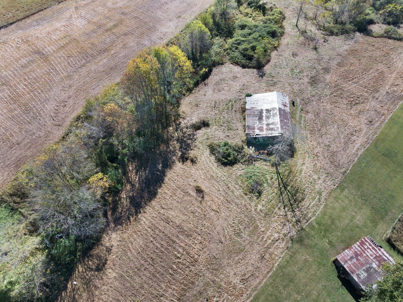 418 A Fowler Ford Road Portland, TN 37148 - Photo 23 of 26 a view of a dry yard with trees