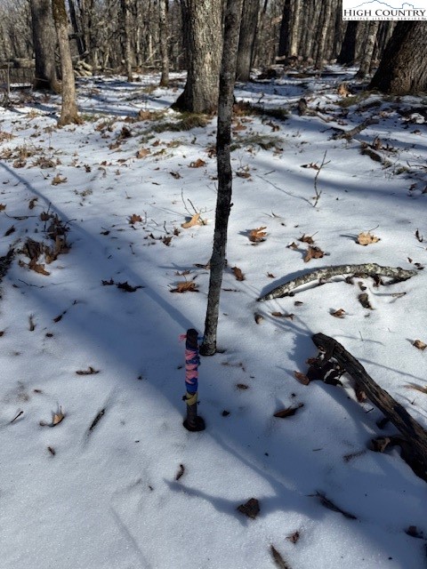 88 Relaxation Point Todd, NC 28684 - Photo 15 of 17