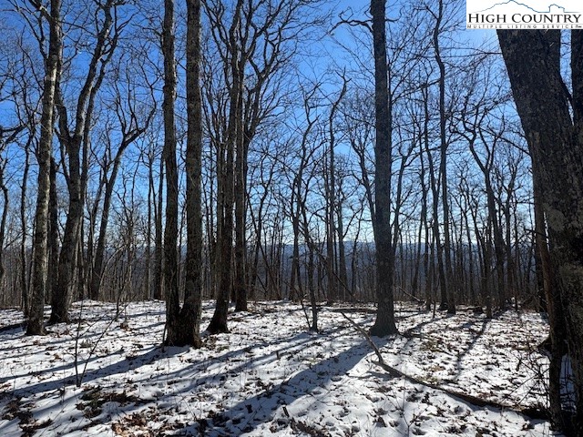88 Relaxation Point Todd, NC 28684 - Photo 2 of 17
