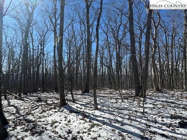 a view of wooden fence