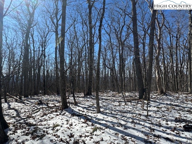 88 Relaxation Point Todd, NC 28684 - Photo 3 of 17