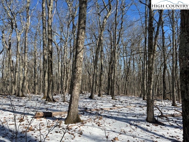 88 Relaxation Point Todd, NC 28684 - Photo 4 of 17