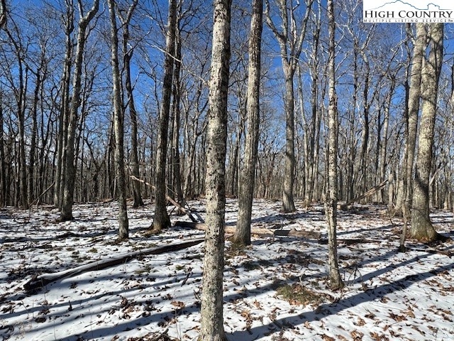 88 Relaxation Point Todd, NC 28684 - Photo 5 of 17