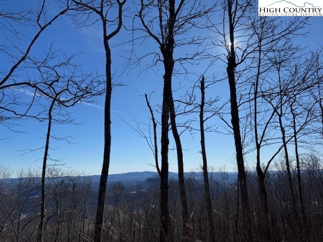 88 Relaxation Point Todd, NC 28684 - Photo 6 of 17