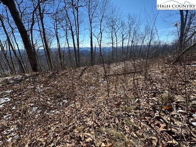 88 Relaxation Point Todd, NC 28684 - Photo 7 of 17