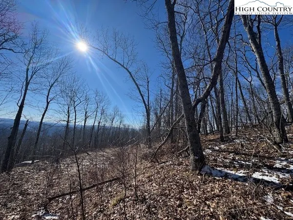a view of a backyard of the house