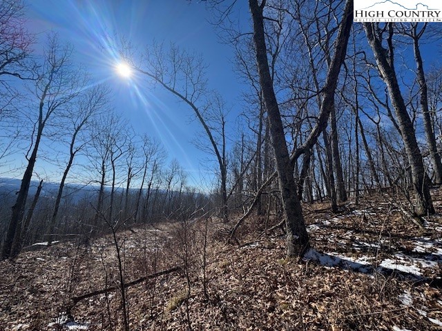 88 Relaxation Point Todd, NC 28684 - Photo 8 of 17