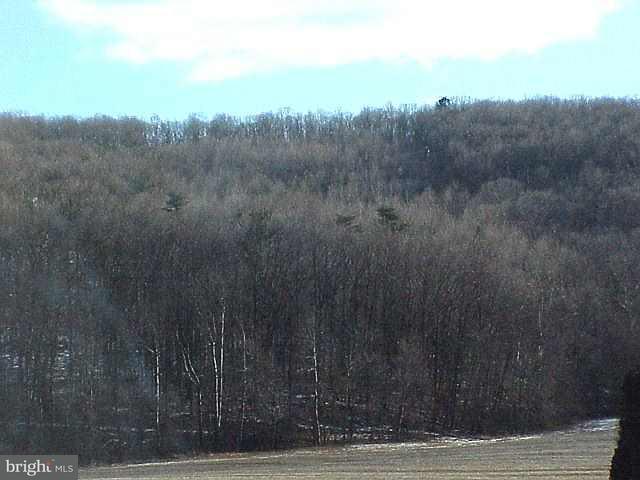 Lot Rutter Rutter Road Halifax, PA 17032 - Photo 2 of 3
