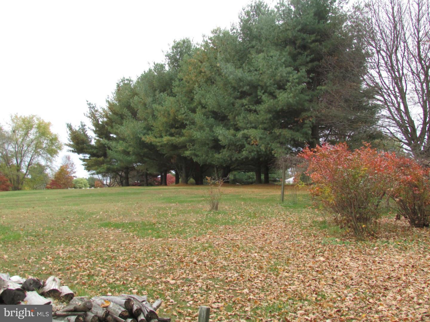 5951 Mill Branch Road Huntingtown, MD 20639 - Photo 21 of 24 Exterior (Rear)