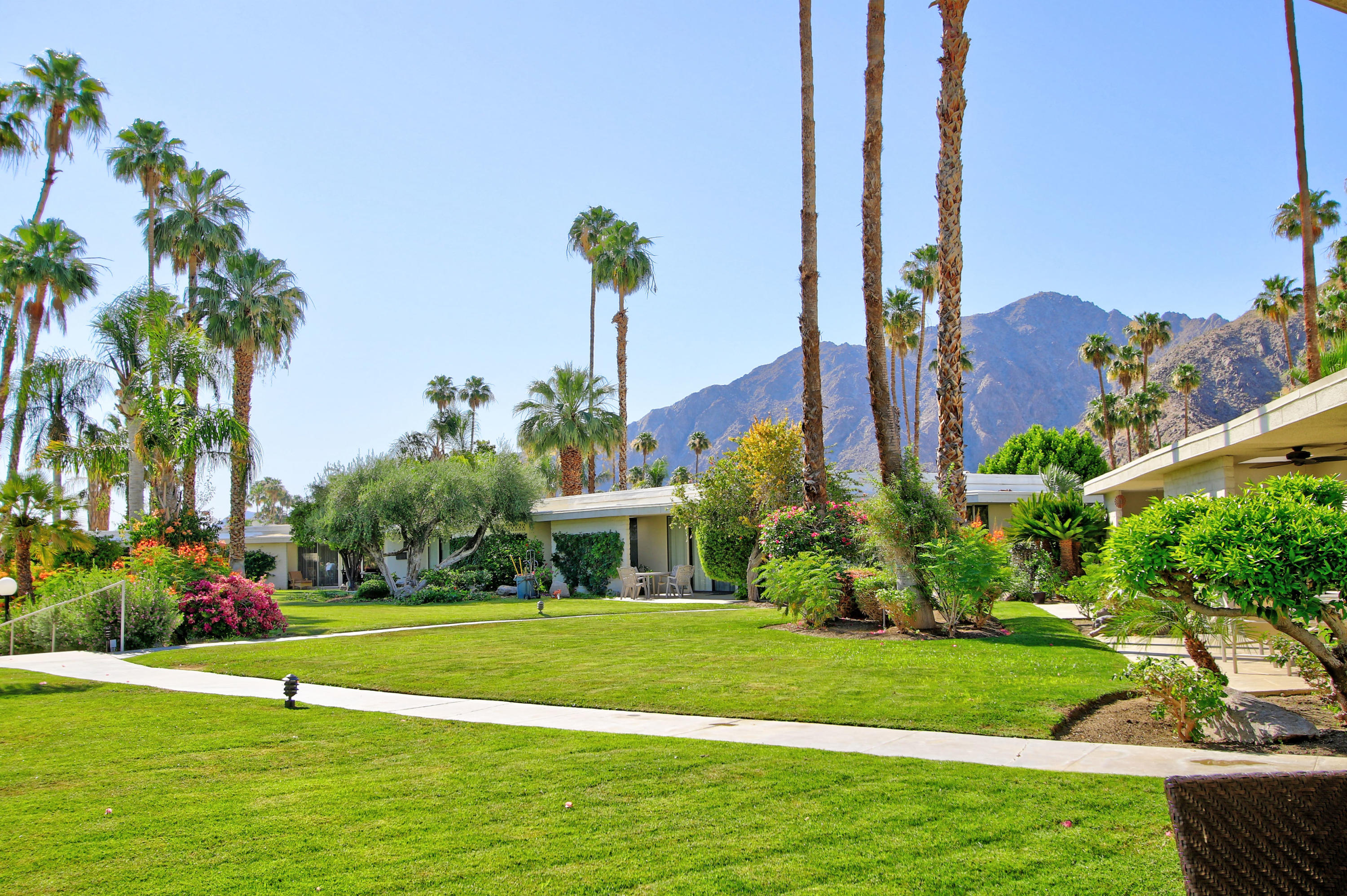 45760 Pawnee Road Indian Wells, CA 92210 - Photo 44 of 56 a view of a garden with palm trees