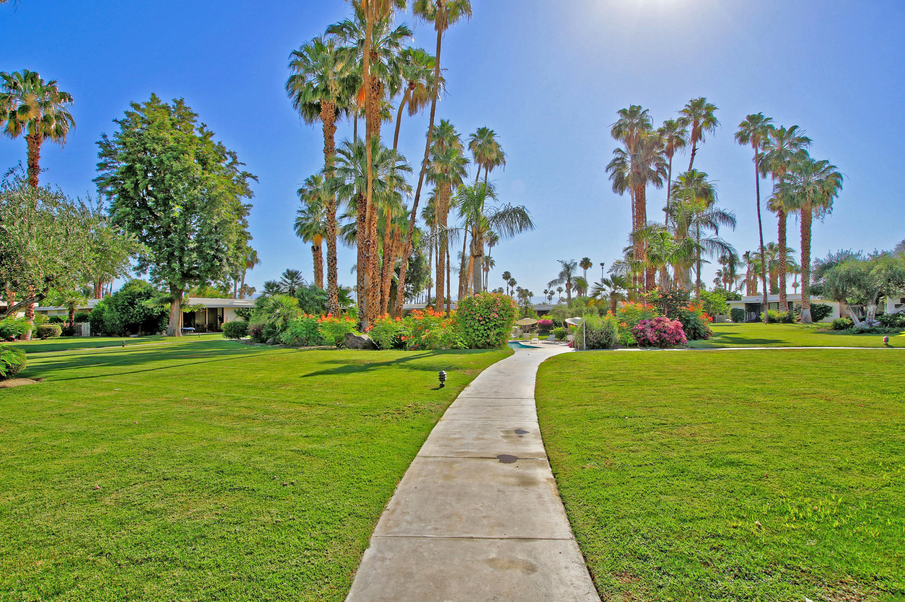 45760 Pawnee Road Indian Wells, CA 92210 - Photo 48 of 56 a view of a park with palm trees