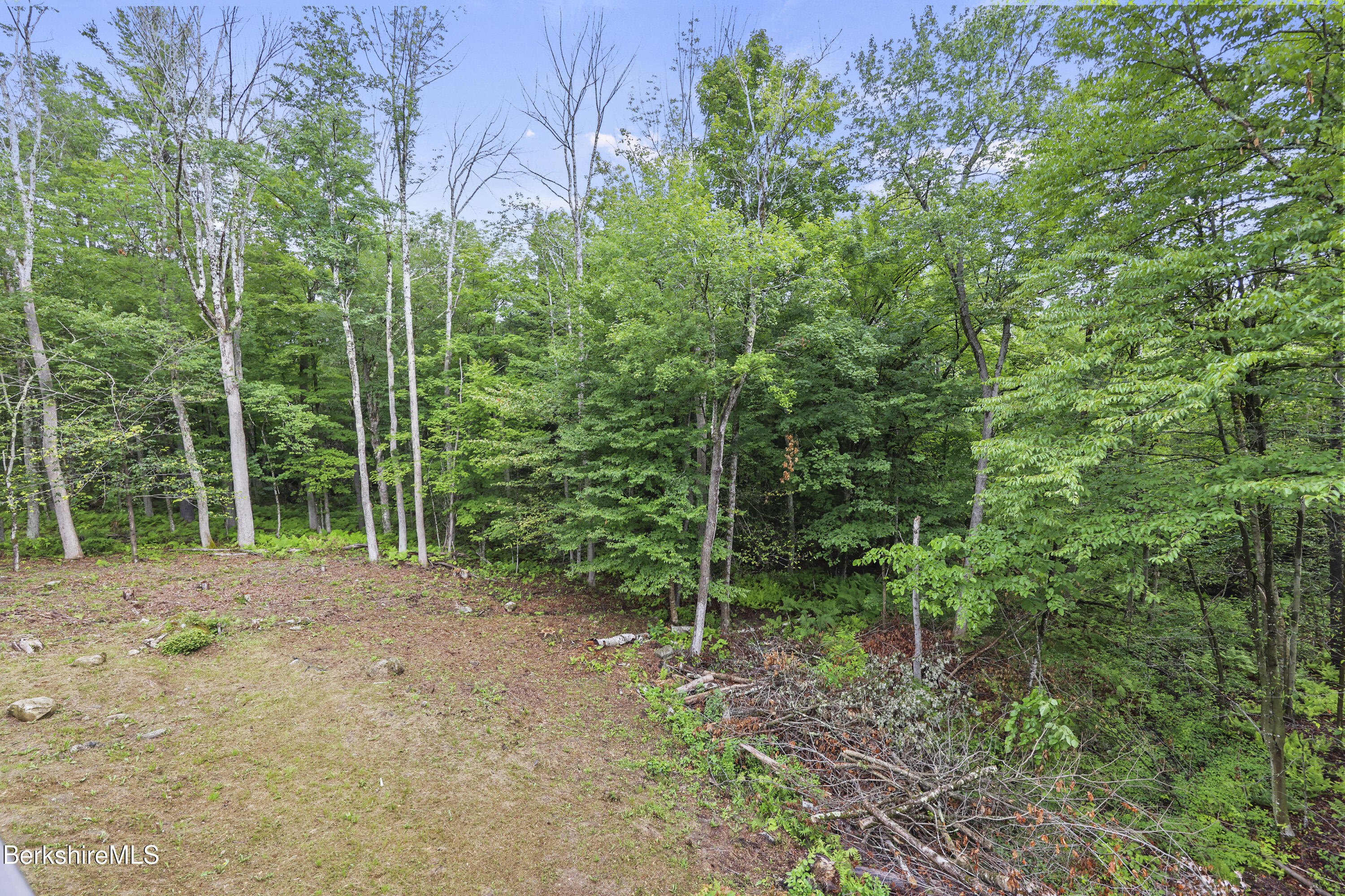 674 Benton Hill Road Becket, MA 01223 - Photo 41 of 61 a view of a yard with plants and trees