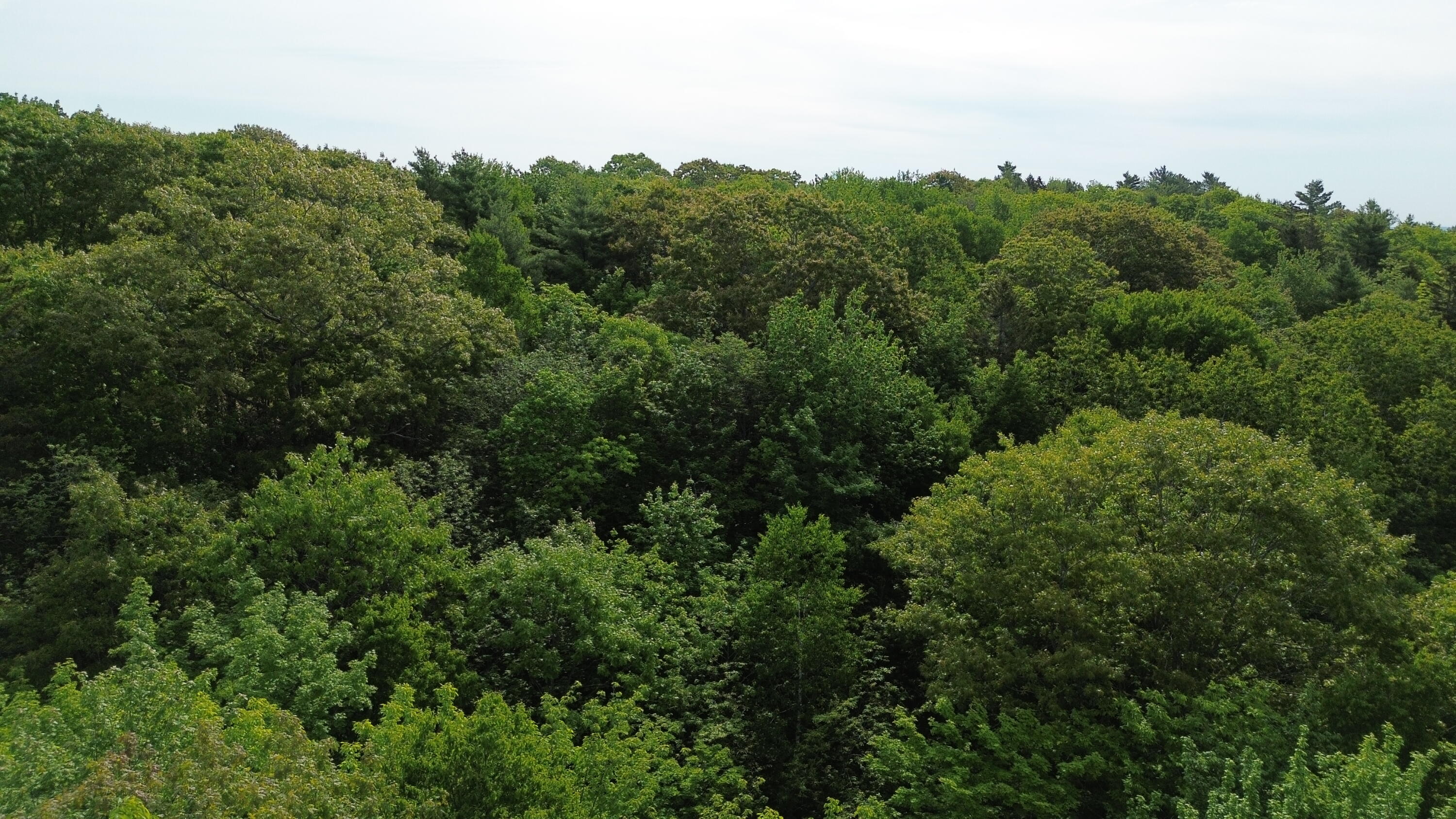 M5-l16 Clark Road Prospect, ME 04981 - Photo 12 of 45 DJI_0130