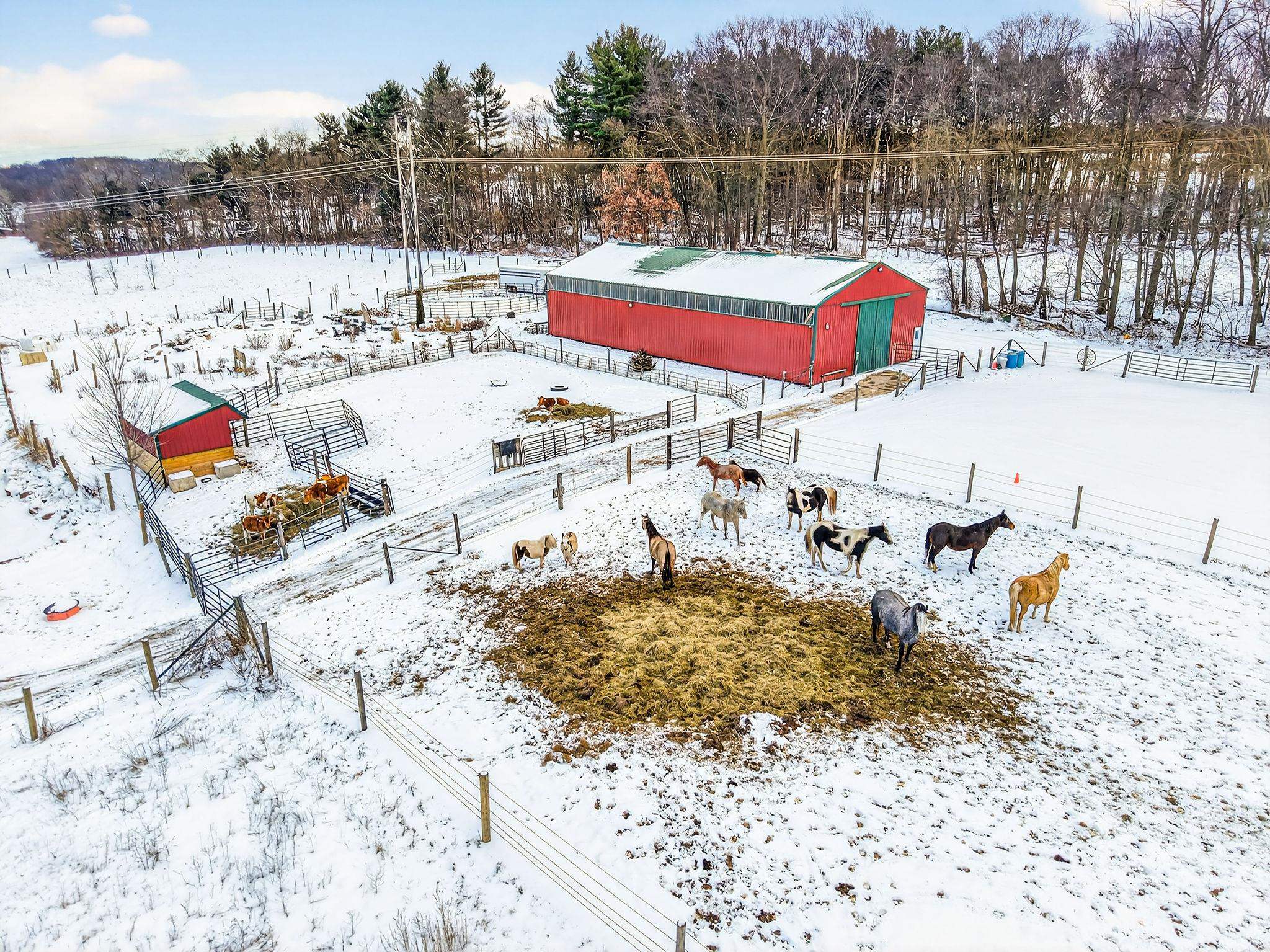 S4168 Crawford Street Baraboo, WI 53913 - Photo 51 of 72