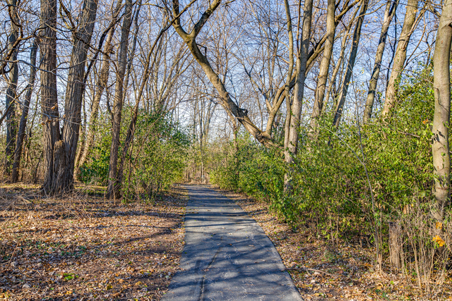 5952 Leeds Road Hoffman Estates, IL 60192 - Photo 28 of 29