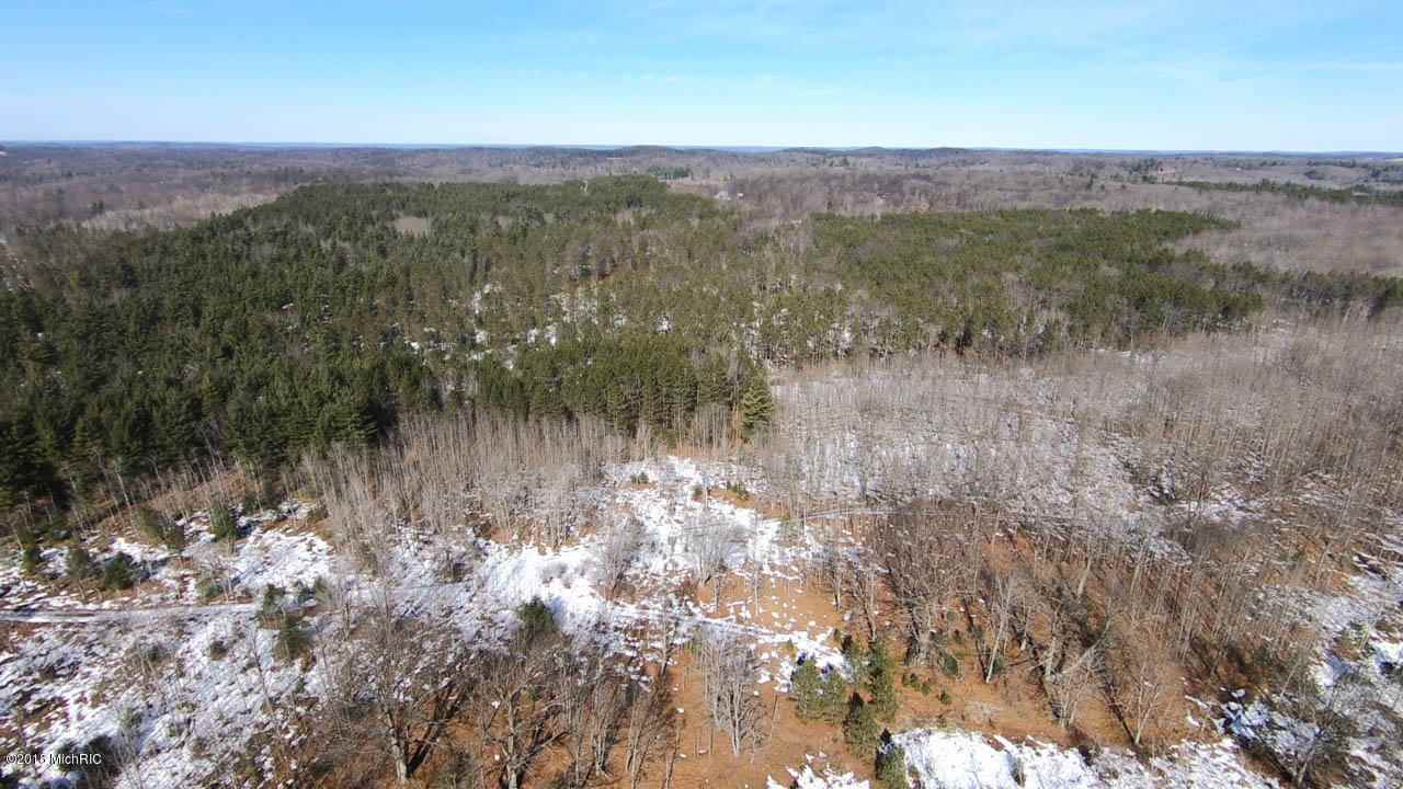 37 1/2 37 1/2 Road Manton, MI 49663 - Photo 23 of 27